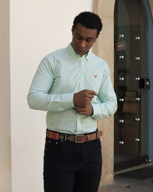 Camisa Líneas Verde
