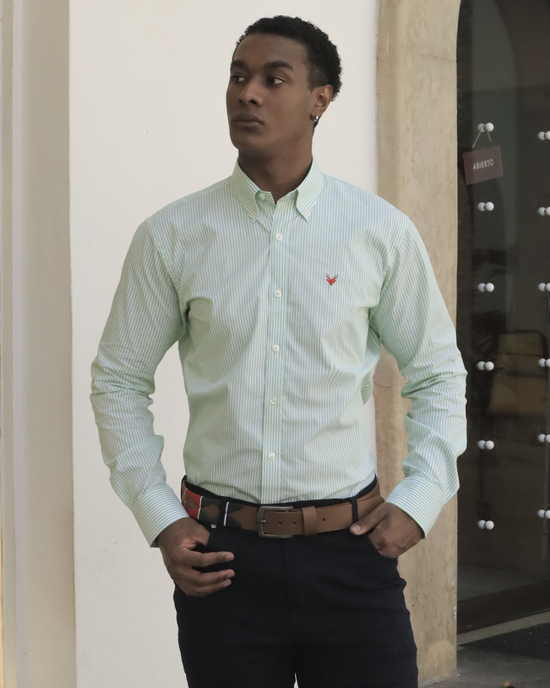 Camisa Líneas Verde