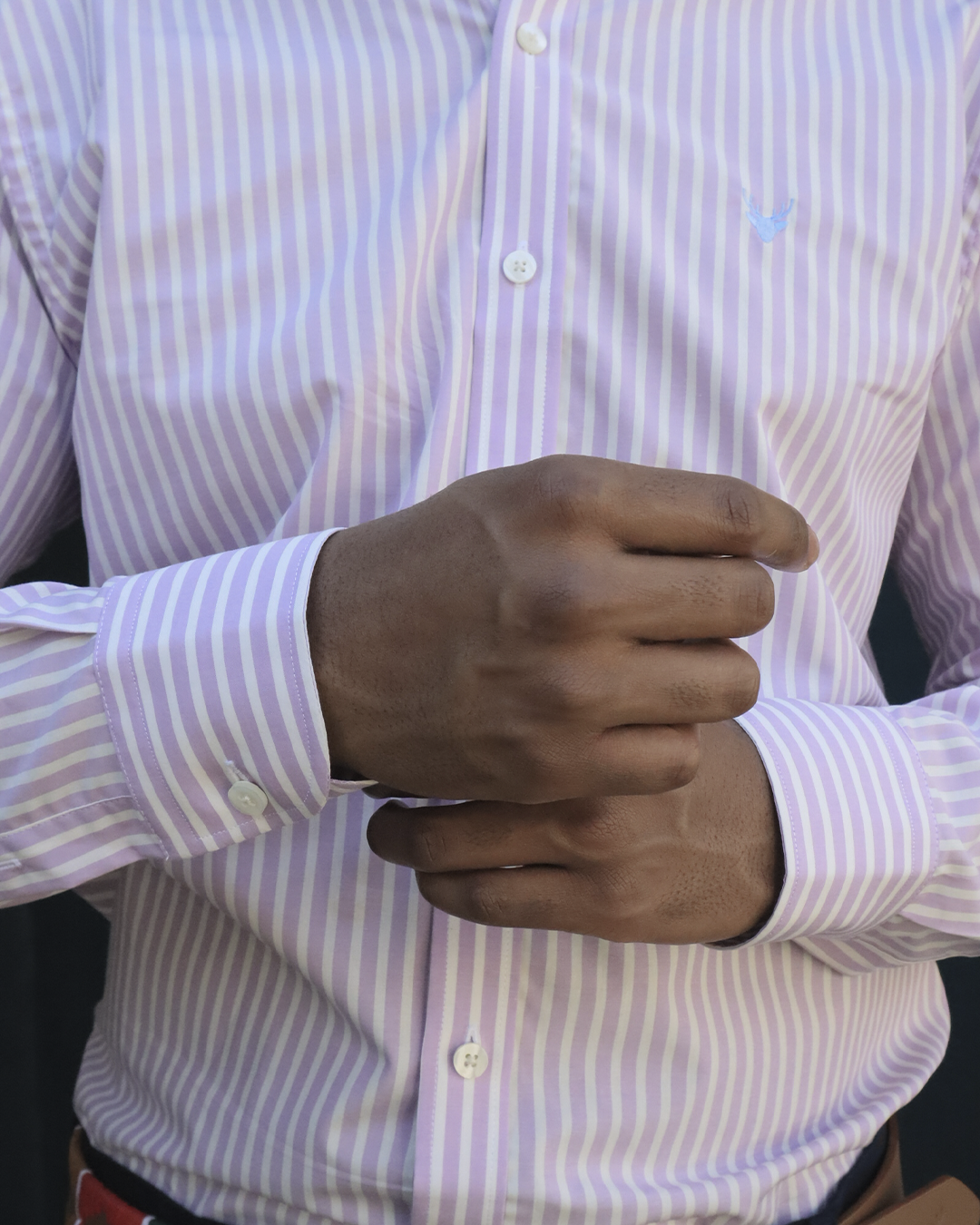 Camisa Líneas Lila