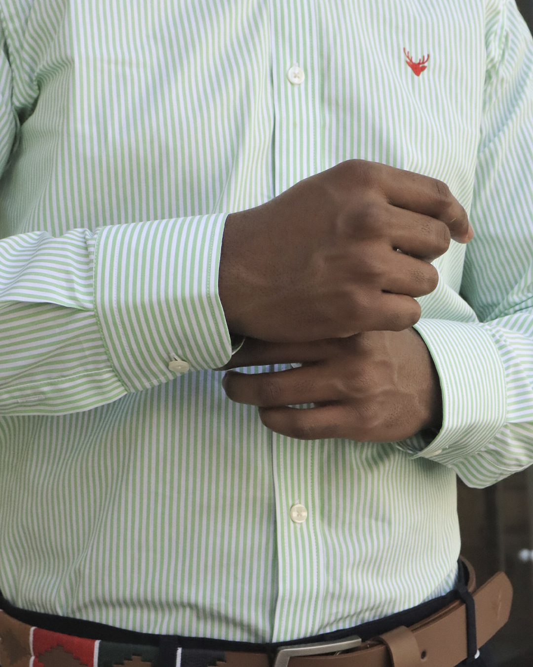 Camisa Líneas Verde