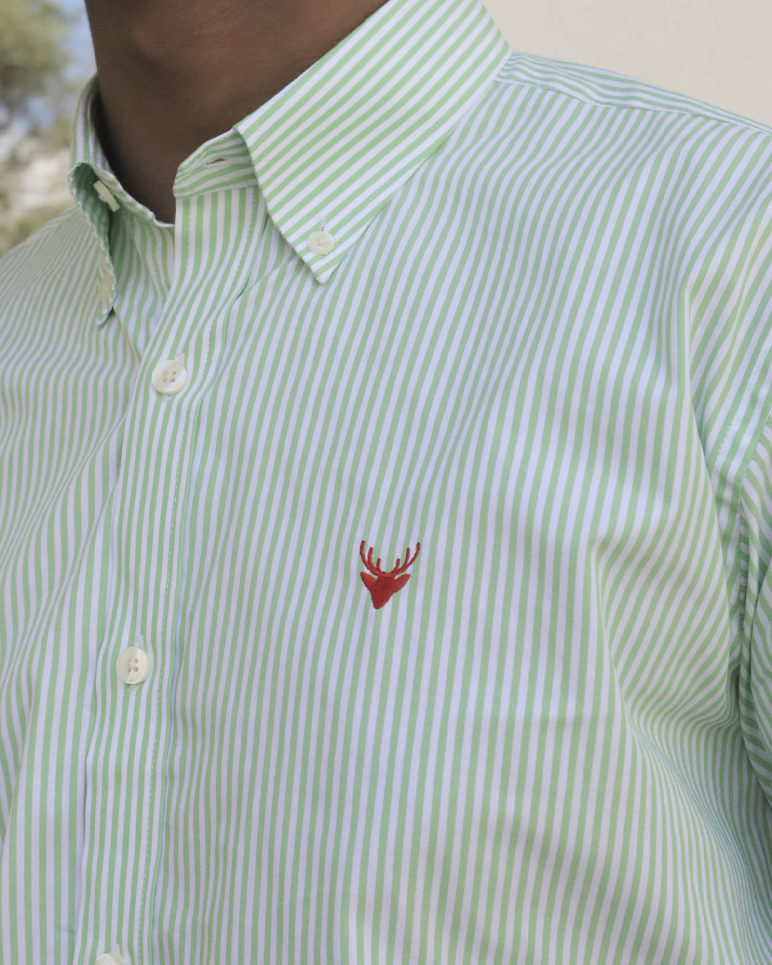 Camisa Líneas Verde