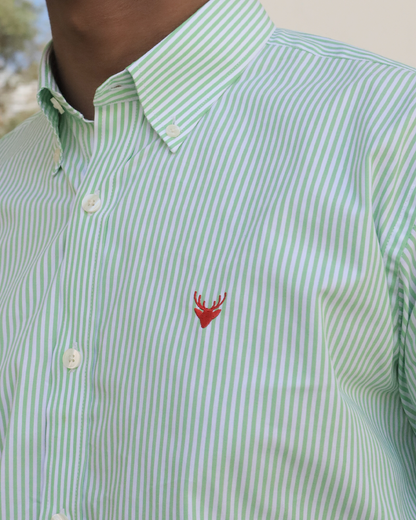 Camisa Líneas Verde